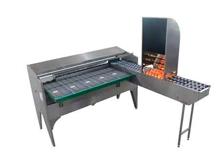 102B  Egg Grader (5400 EGGS/HOUR)