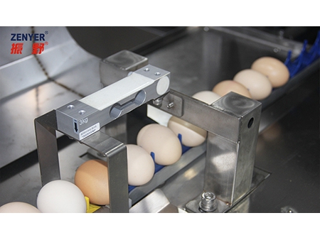 104B Egg Grader (10000 EGGS/HOUR)