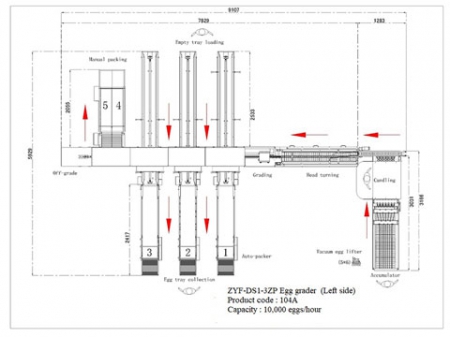 104A Egg Grader (10,000 EGGS/HOUR)