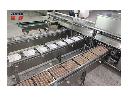 104A Egg Grader (10000 EGGS/HOUR)