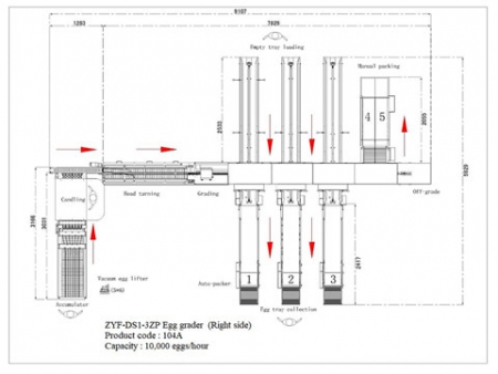 104A Egg Grader (10,000 EGGS/HOUR)