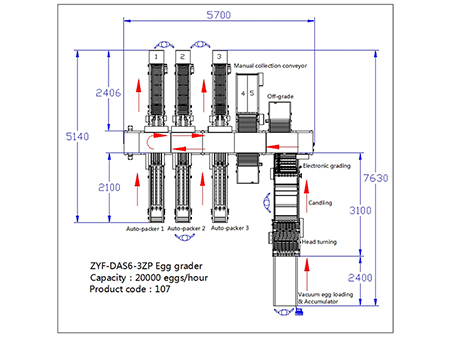 107 Egg Grader (20000 EGGS/HOUR)
