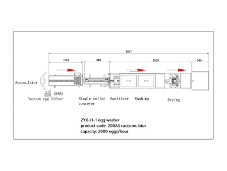 200AS Egg Washer (2000 EGGS/HOUR)