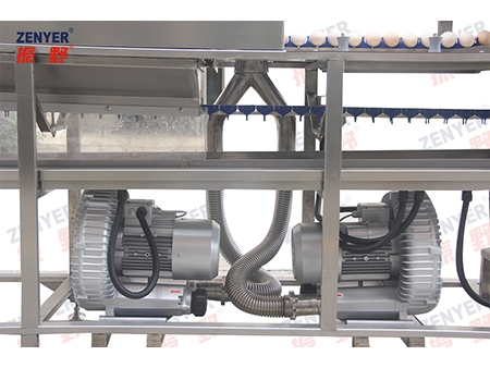 200A Egg Washer (3000 EGGS/HOUR)