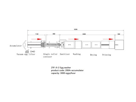 200A Egg Washer (3000 EGGS/HOUR)