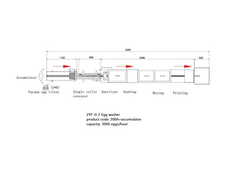200A Egg Washer (3,000 EGGS/HOUR)