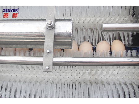 200A Egg Washer (3,000 EGGS/HOUR)