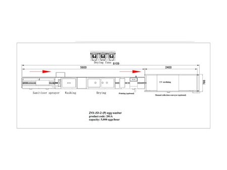 201A  Egg Washer (5,000 EGGS/HOUR)