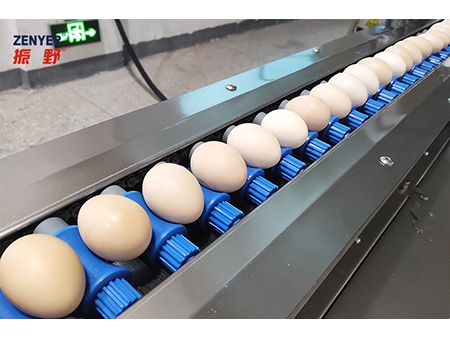 201A  Egg Washer (5,000 EGGS/HOUR)
