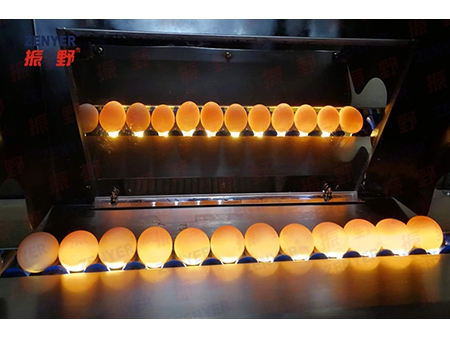 201A  Egg Washer (5000  EGGS/HOUR)