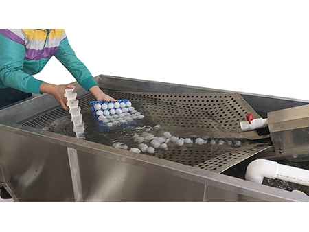 202B  Egg Washer (10000  EGGS/HOUR)