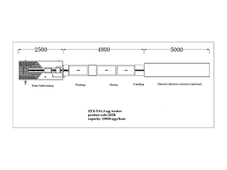 202B  Egg Washer (10000  EGGS/HOUR)