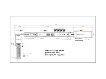 202A Egg Washer (10000 EGGS/HOUR)
