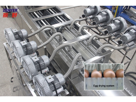 203B  Egg Washer (20,000 EGGS/HOUR)