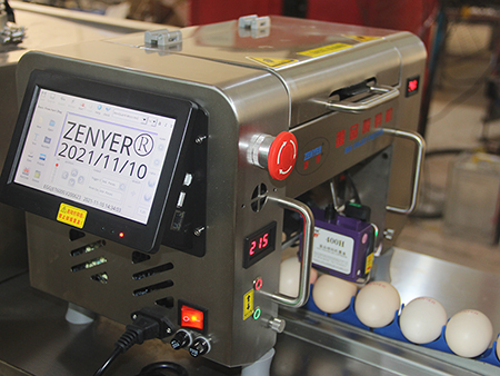 401H Egg Printer, Egg Coder