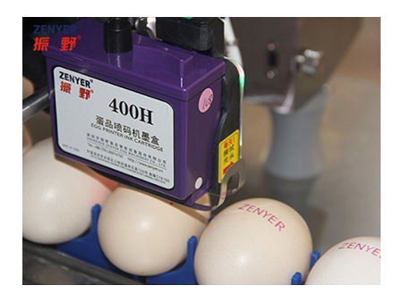 401H Egg Printer, Egg Coder