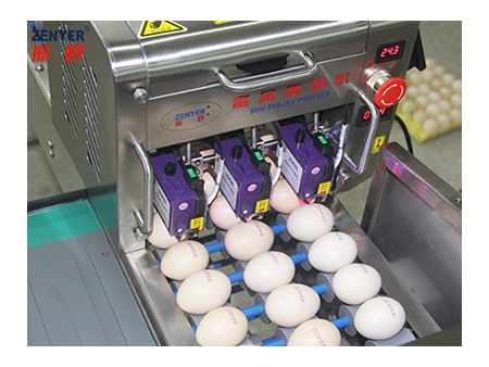 403H Egg Printer, Egg Coder