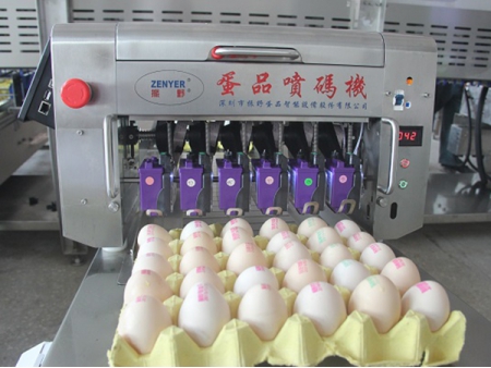 406H Egg Printer