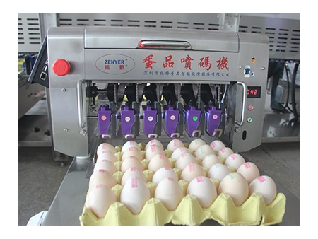 406H Egg Printer