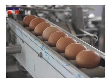 501B Egg Breaking and Separating Machine (8000 EGGS/HOUR)