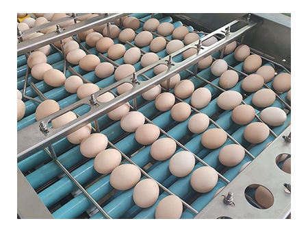 713 Egg Farm Packer (27,000 EGGS/HOUR)
