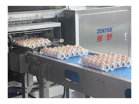 713A Egg Farm Packer (27,000 EGGS/HOUR)