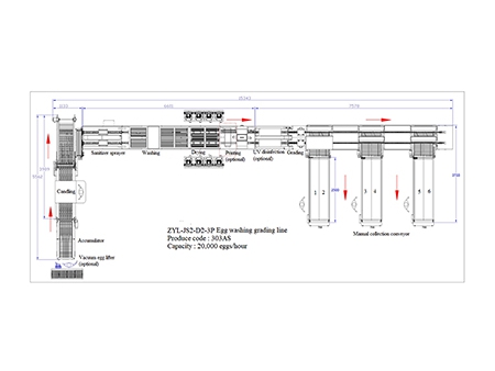 303AS Egg Processing Line with Washing & Grading (20,000 EGGS/HOUR)