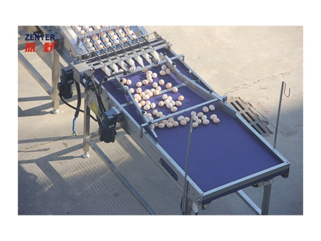 303AS Egg Processing Line with Washing & Grading (20,000 EGGS/HOUR)