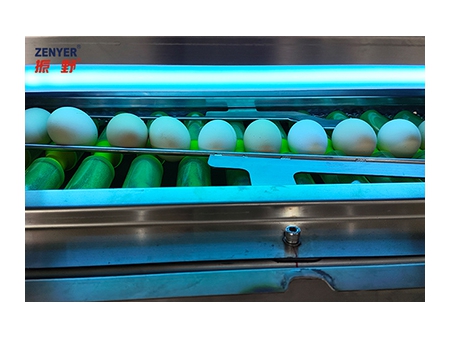 303AS Egg Processing Line with Washing & Grading (20,000 EGGS/HOUR)