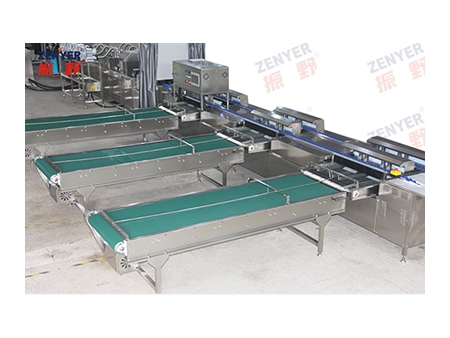303AS Egg Processing Line with Washing & Grading (20,000 EGGS/HOUR)