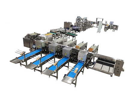 304A Egg Processing Line with Cleaning & Grading (30,000 EGGS/HOUR)