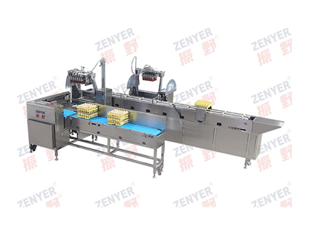304A Egg Processing Line with Cleaning & Grading (30,000 EGGS/HOUR)