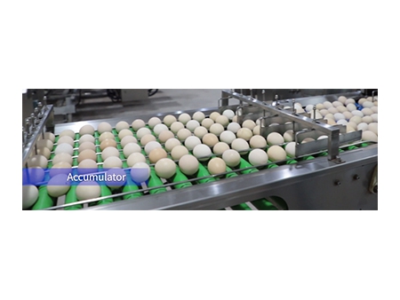 304A Egg Processing Line with Cleaning & Grading (30,000 EGGS/HOUR)