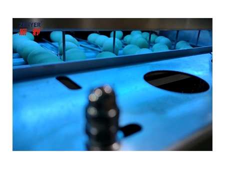 304A Egg Processing Line with Cleaning & Grading (30,000 EGGS/HOUR)