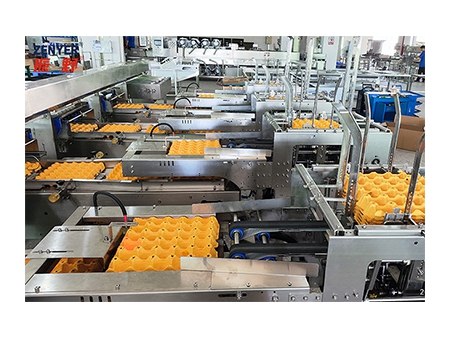304A Egg Processing Line with Cleaning & Grading (30,000 EGGS/HOUR)