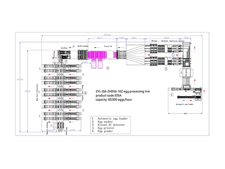 305A Egg Processing Line with Cleaning & Grading (60,000 EGGS/HOUR)