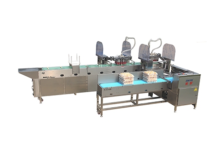 305A Egg Processing Line with Cleaning & Grading (60,000 EGGS/HOUR)