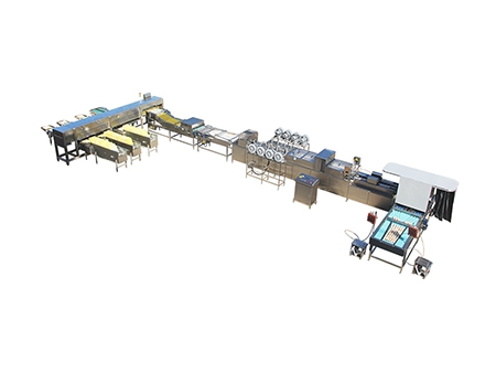 303A Egg Processing Line with Cleaning, Grading & Auto-packer (20,000 EGGS/HOUR)