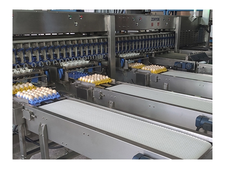 303A Egg Processing Line with Cleaning, Grading & Auto-packer (20,000 EGGS/HOUR)
