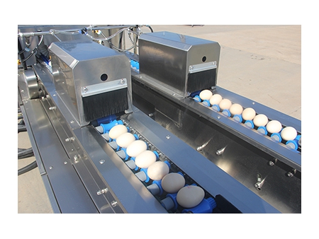 303A Egg Processing Line with Cleaning, Grading & Auto-packer (20,000 EGGS/HOUR)