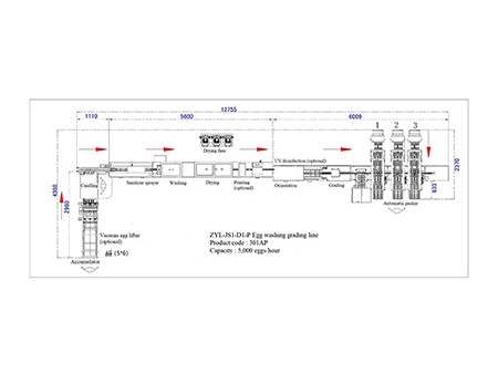 301AP Egg Processing Line with Washing & Grading (5,000 EGGS/HOUR)