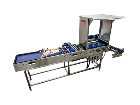 301AP Egg Processing Line with Washing & Grading (5,000 EGGS/HOUR)