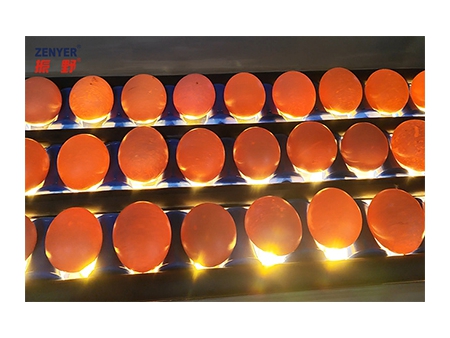 301AP Egg Processing Line with Washing & Grading (5,000 EGGS/HOUR)
