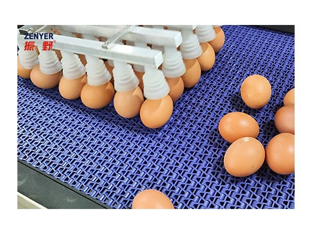 301AP Egg Processing Line with Washing & Grading (5,000 EGGS/HOUR)