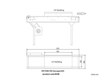 604B Belt Conveyor