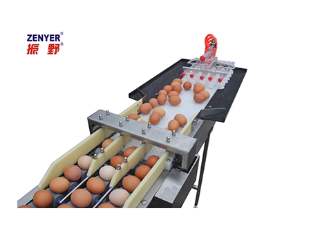 604A Egg Accumulator