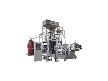 Twin Screw Extruder