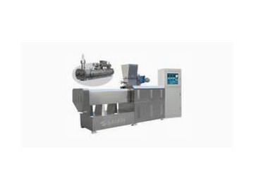 Twin Screw Extruder