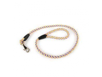 Dog Collar & Leash