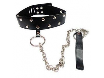 Dog Collar & Leash